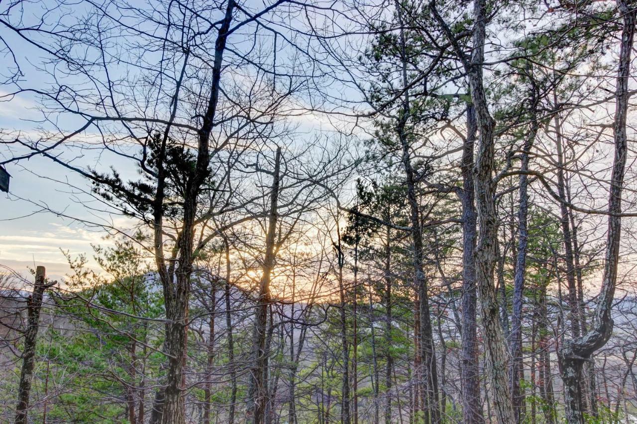 Misty View Cabin Hatchertown Εξωτερικό φωτογραφία