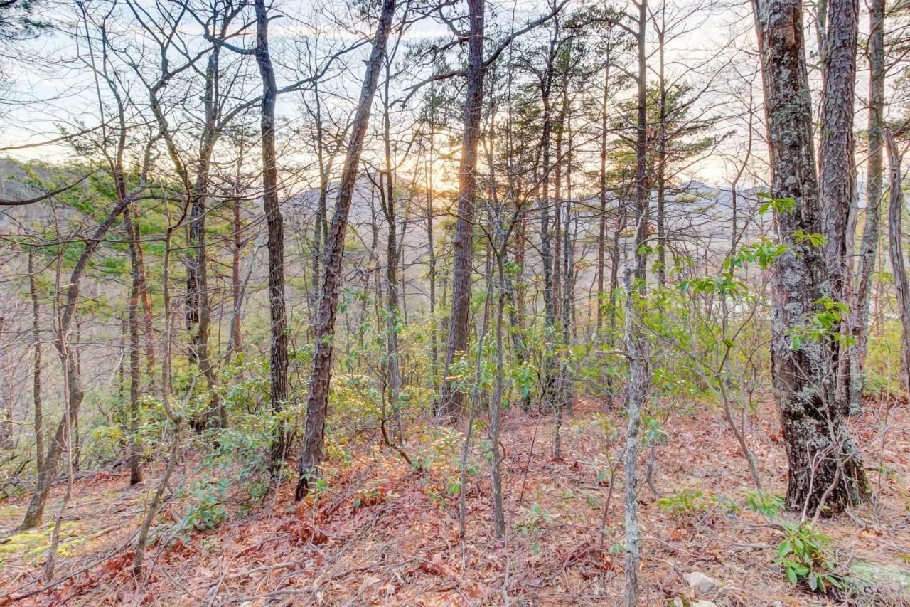 Misty View Cabin Hatchertown Εξωτερικό φωτογραφία