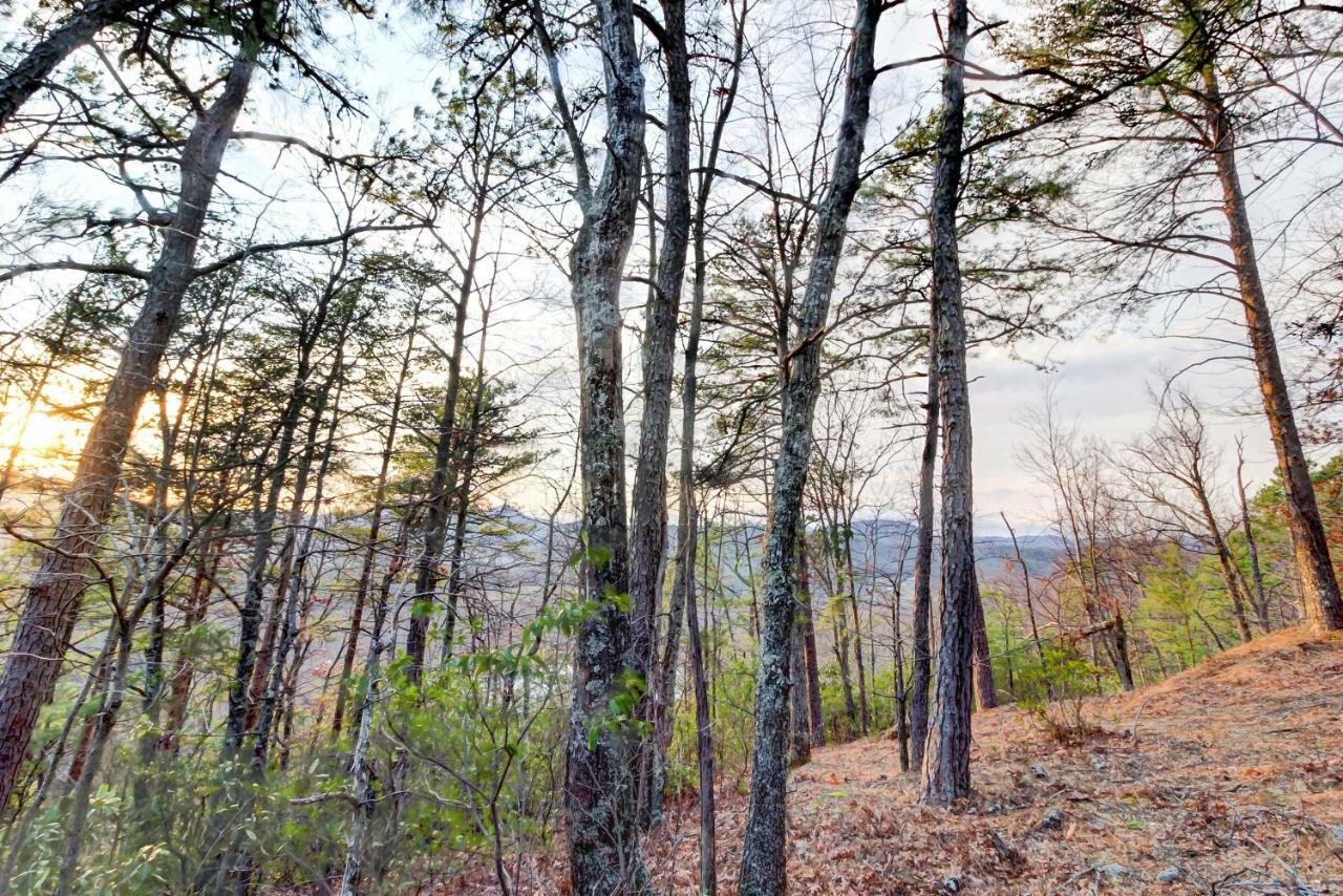 Misty View Cabin Hatchertown Εξωτερικό φωτογραφία